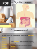 O Sistema Digestivo Humano