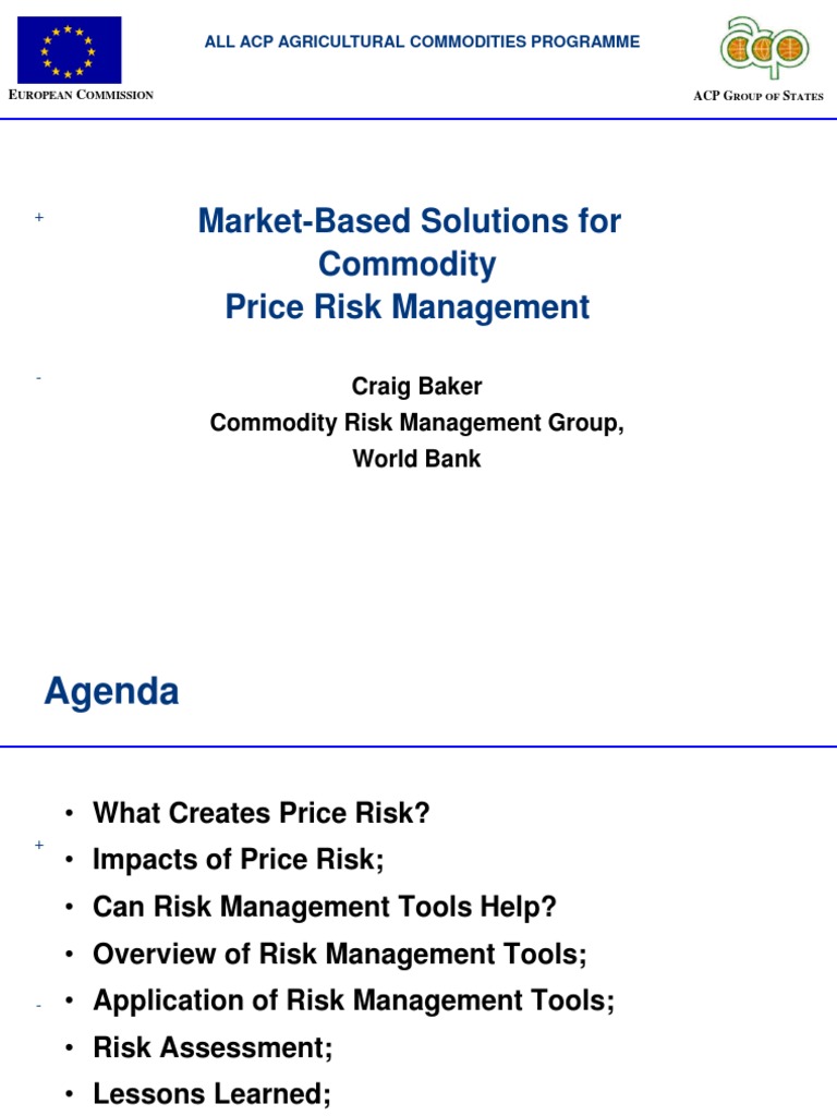 Market-Based Solutions For Commodity Price Risk Management | PDF | Risk ...