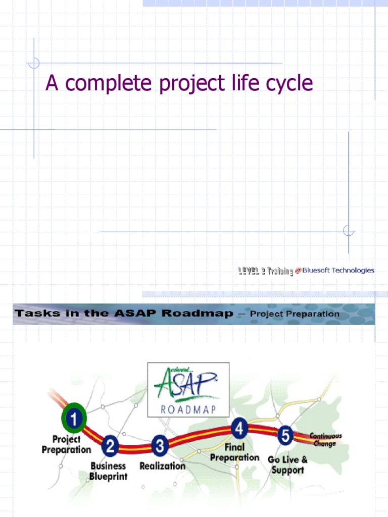 SAP Project Life Cycle Overview | PDF | Business