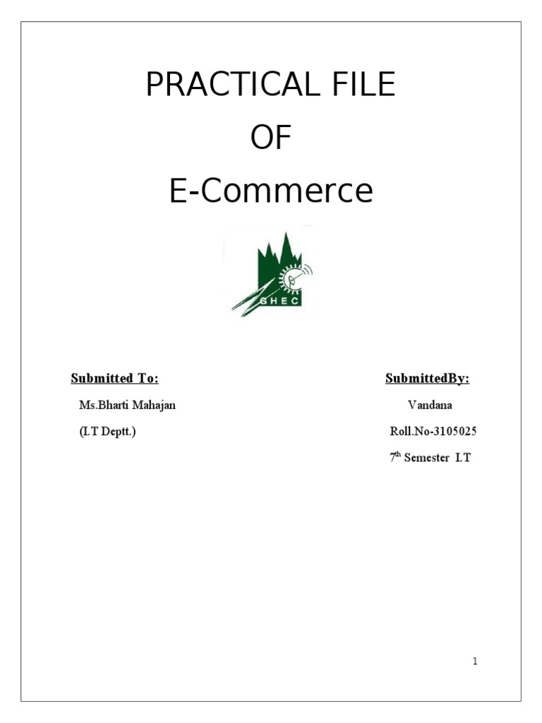 E-Commerce Practical File Overview | PDF | Information Technology ...