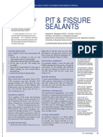 Pit Fissure REV PDF