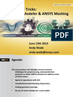 ANSYS v13 DesignModeler and Meshing