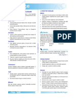Türkçe 6 PDF