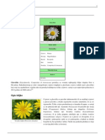 Maslačak I Druge Glavočike PDF