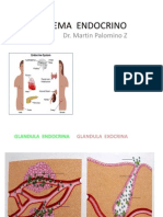 Sistema Endocrino v2 Rel