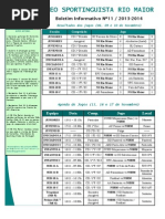 BI_11_NSRM_13_11_2013