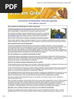 novo padrão de classificação