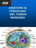 Download ANATOMI  FISIOLOGI SELppt by Aditya Nugroho SN183844330 doc pdf