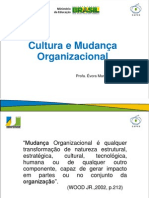 Material de referencia  - Mudança Organizacional