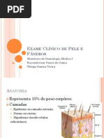 Exame Clc3adnico de Pele e Fc3a2neros1