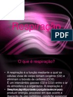 Tipos de Respiração (Biologia)