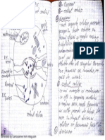 New Doc7 PDF