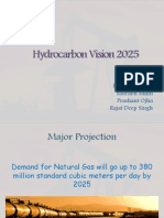 Hydrocarbon vision 2020