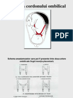 8 Patologia Cordonului Ombilical