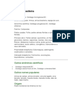 Arnica - Solidago Microglossa DC. - Ervas Medicinais - Ficha Completa Ilustrada