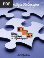 Bia Versao Experimental