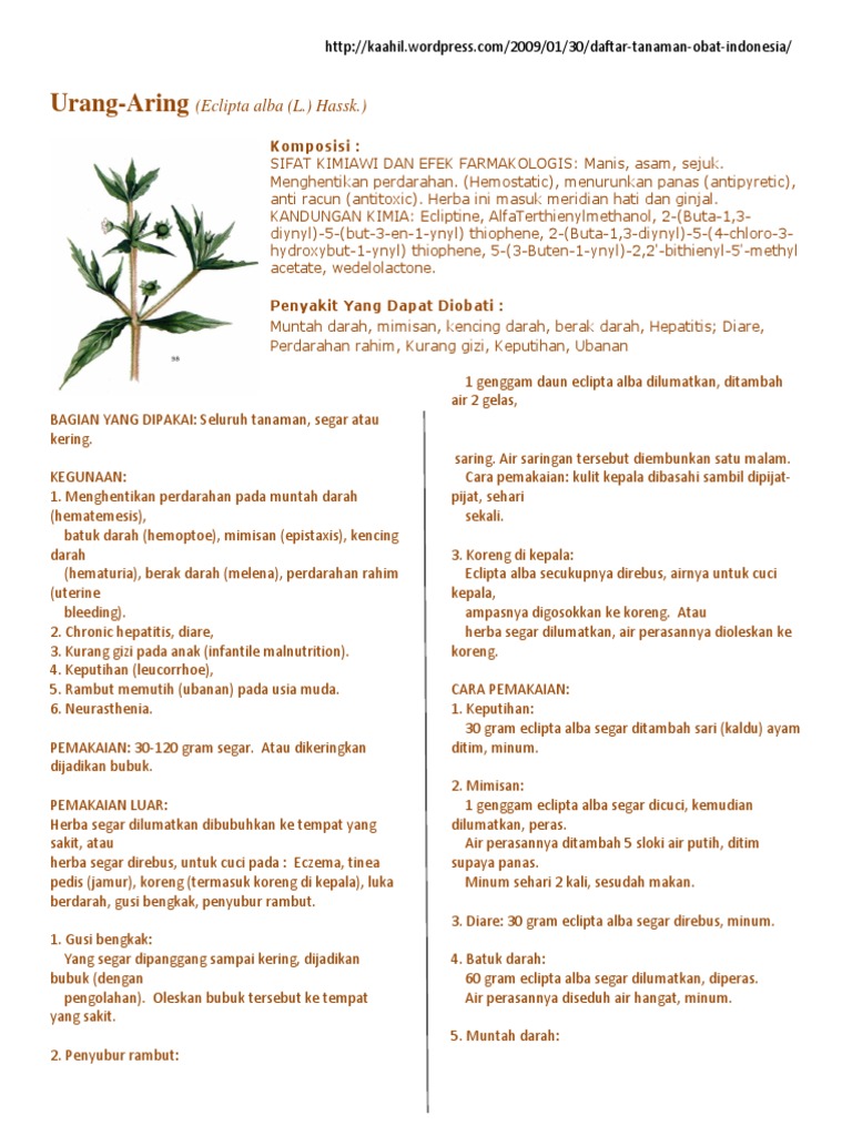 Tanaman Obat Indonesia Pdf Pdf