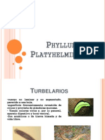 Phyllum Platyhelminthes