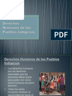 Derechos Humanos de los Pueblos Indígenas