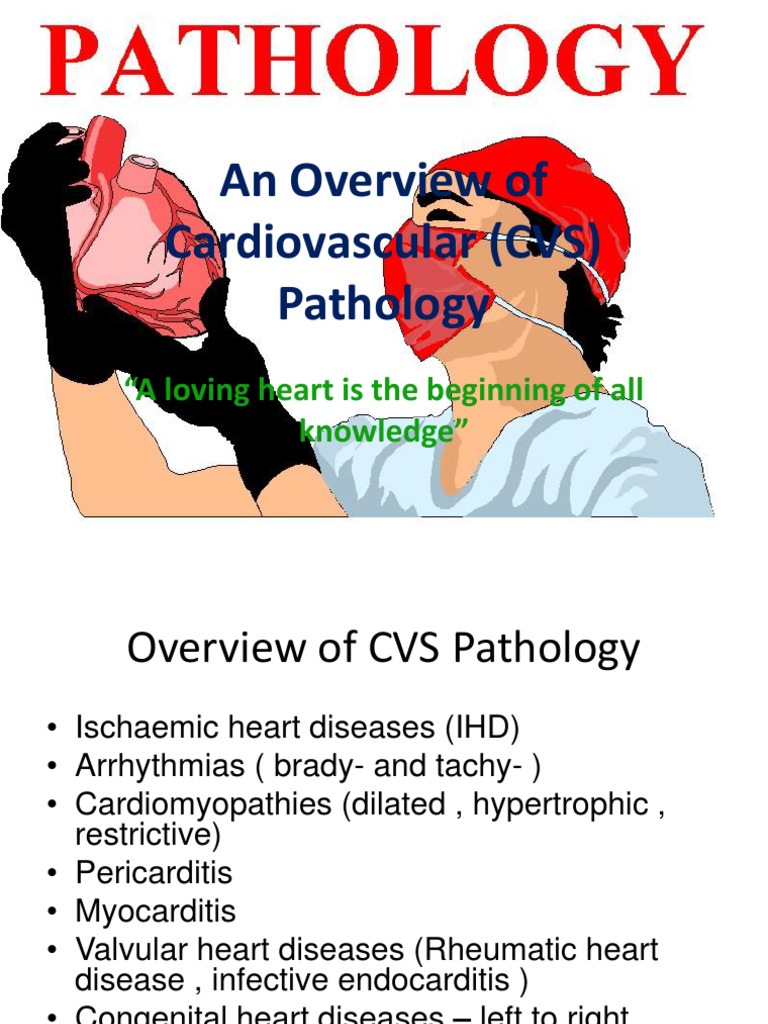 Overview of Cardiovascular Pathology | PDF | Self-Improvement | Wellness