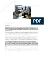 Documento PRAE Agricultura Urbanacolegionuevaesperanza