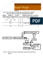 Peranan Oksigen