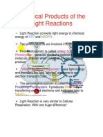 Chemical Products of The Light Reactions