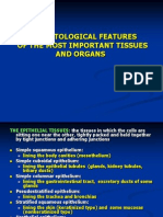The Histological Features of The Most Important Tissues and Organs