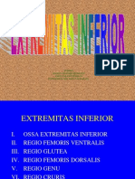 Extr Inferior 2009