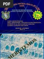 BIOTECNOLOGIA.pptx