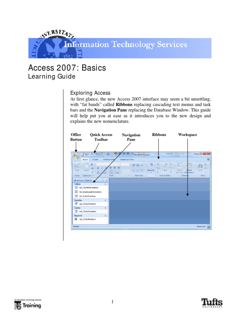 MS Access 2007 Basics.pdf | Databases | Computer Data