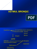 Astm Bronsic