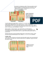 Backgammon PDF