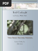 Uace Divinity Paper 2 | PDF | Jesus | Paul The Apostle