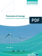 Euro Statistics Panorama On Energy 2009