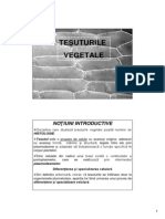 Morfologia - Anatomia Plantelor - AH 2 - Tesuturile PDF