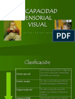 Discapacidad Visual