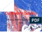 Os Invertebrados