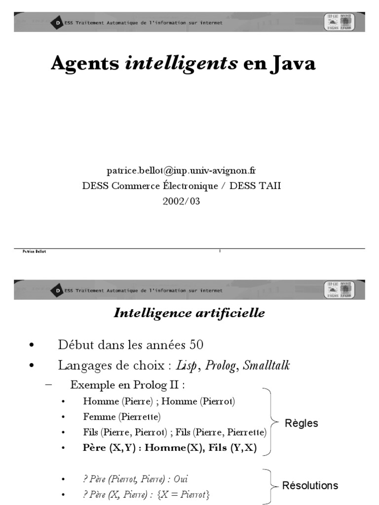 Agents intelligents et Data Mining en Java | PDF | Minage des données ...