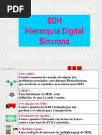 Curso SDH1
