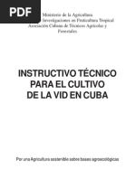 Instructivo Uva