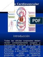 Sistema Cardiovascular