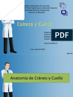 Seminario de Cabeza y Cuello