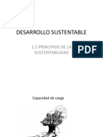 Principios de La Sustentabilidad