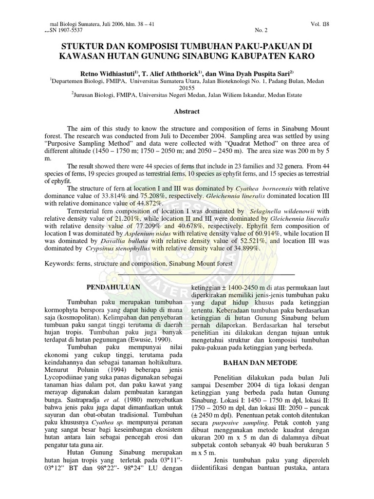 Jurnal Tumbuhan Paku | PDF