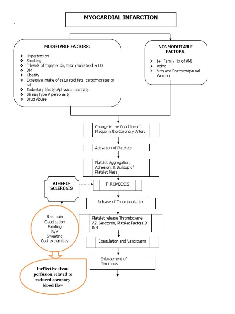 Myocardial Infarction Risk Factors & Effects | PDF | Wellness