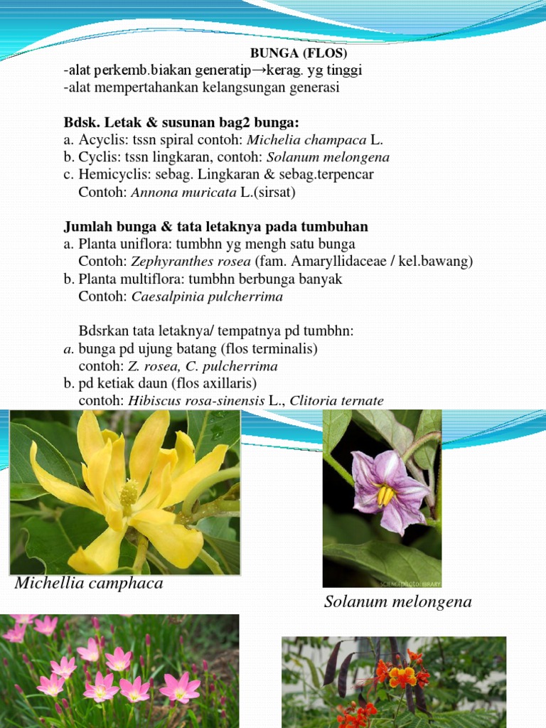 Struktur dan Jenis Bunga Tumbuhan | PDF