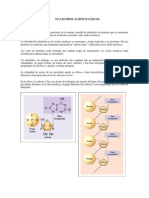 Taller 1 Bioloǵia