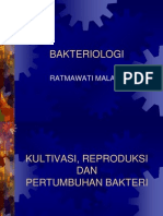 BAKTERIOLOGI-2-