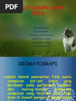 Download Kromatografi Lapis Tipis by Nadia Fahmi Silabi SN184446474 doc pdf